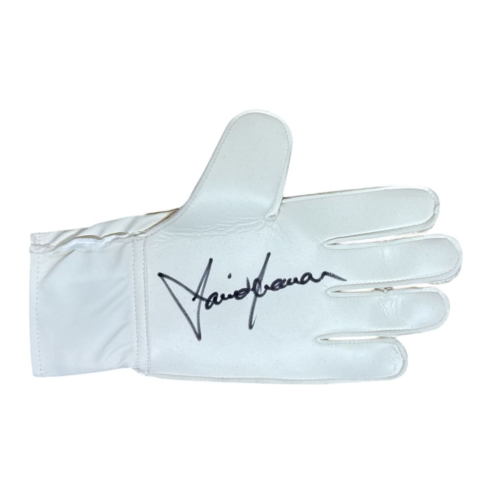 David Seaman signed Adidas goalkeeper glove-image-6688