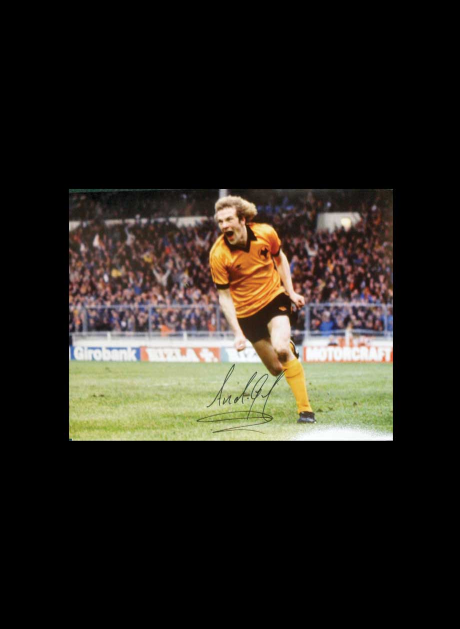 Andy Gray signed Wolves 16x12 photo - Premium Framing + PS45.00