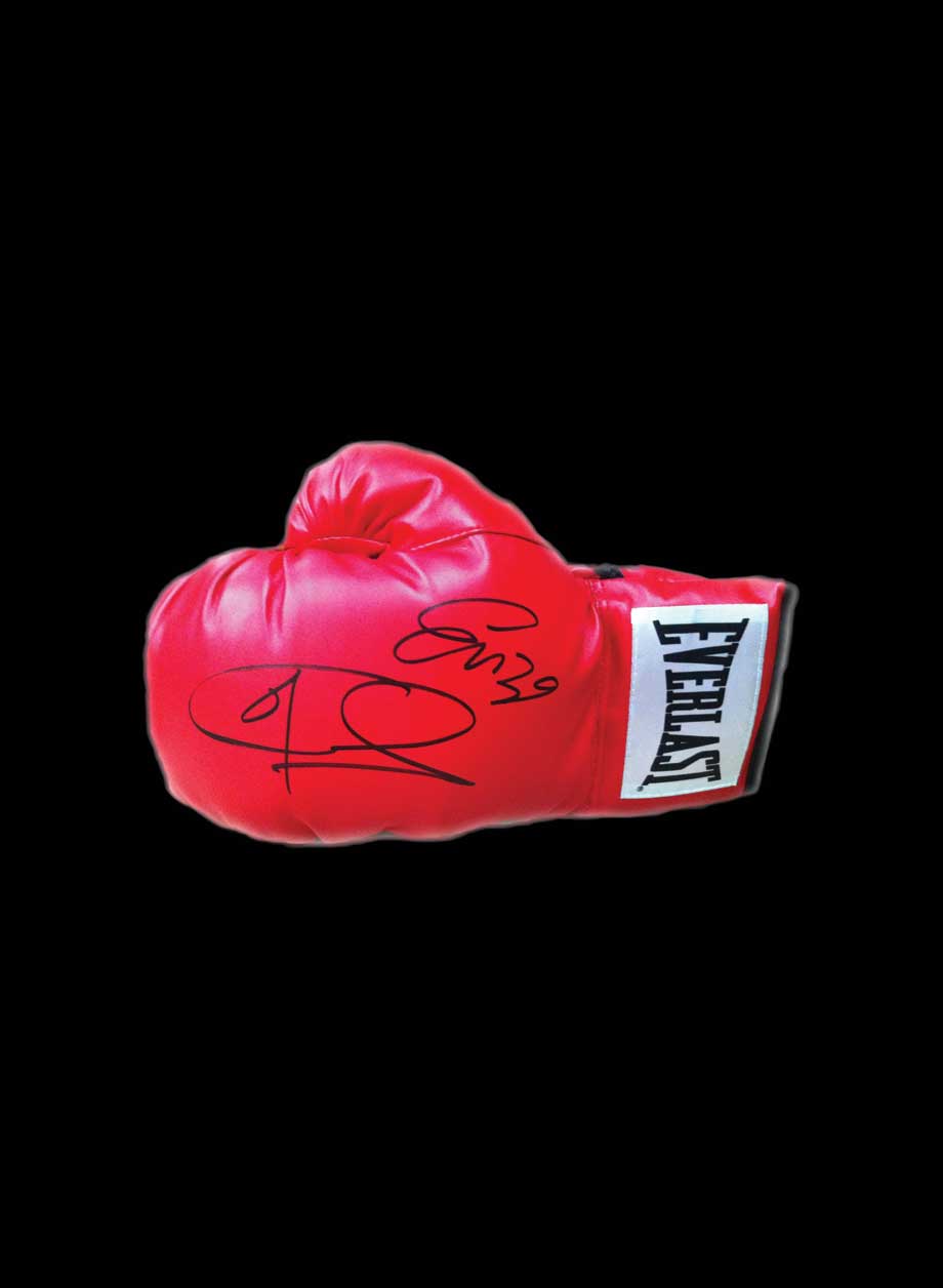 Joe & Enzo Calzaghe dual signed boxing glove - Unframed + PS0.00