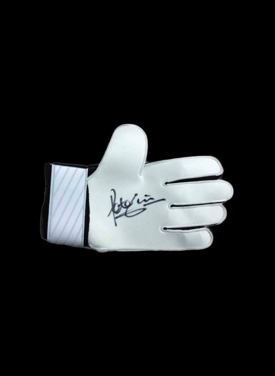 Peter Shilton signed goalkeeper glove - Goalkeeper glove framing + PS65.00