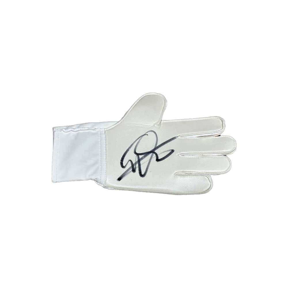 Edwin Van Der Sar signed Adidas goalkeeper glove-image-15354